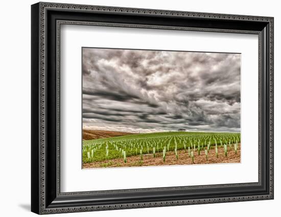 Storm Clouds Gather over Southwind, Walla Walla, Washington, USA-Richard Duval-Framed Photographic Print