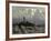 Storm Clouds Hover Over San Francisco's Coit Tower-null-Framed Photographic Print