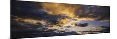 Photographic Print