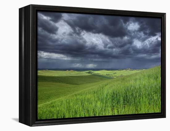 Storm Clouds over Agricultural Wheat Field, Tuscany, Italy-Adam Jones-Framed Premier Image Canvas