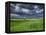 Storm Clouds over Agricultural Wheat Field, Tuscany, Italy-Adam Jones-Framed Premier Image Canvas