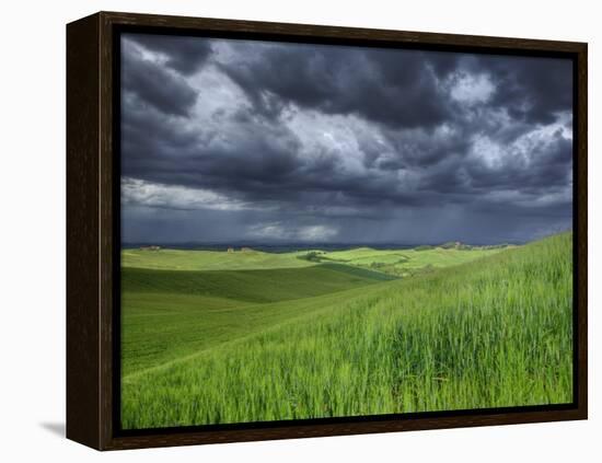 Storm Clouds over Agricultural Wheat Field, Tuscany, Italy-Adam Jones-Framed Premier Image Canvas