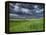 Storm Clouds over Agricultural Wheat Field, Tuscany, Italy-Adam Jones-Framed Premier Image Canvas