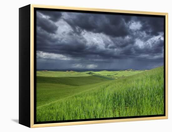 Storm Clouds over Agricultural Wheat Field, Tuscany, Italy-Adam Jones-Framed Premier Image Canvas