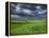 Storm Clouds over Agricultural Wheat Field, Tuscany, Italy-Adam Jones-Framed Premier Image Canvas