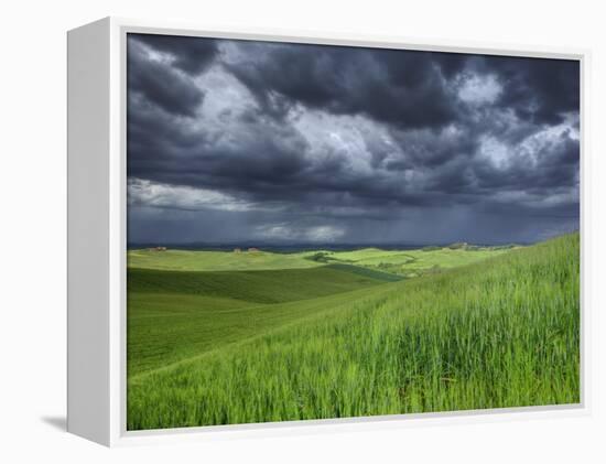 Storm Clouds over Agricultural Wheat Field, Tuscany, Italy-Adam Jones-Framed Premier Image Canvas