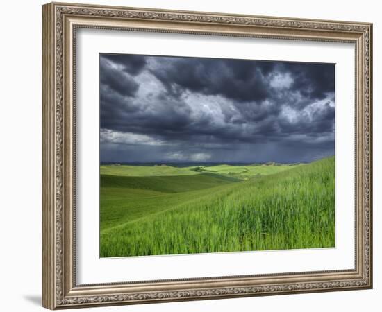 Storm Clouds over Agricultural Wheat Field, Tuscany, Italy-Adam Jones-Framed Photographic Print