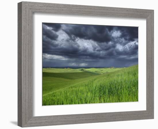 Storm Clouds over Agricultural Wheat Field, Tuscany, Italy-Adam Jones-Framed Photographic Print