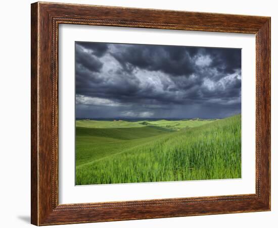 Storm Clouds over Agricultural Wheat Field, Tuscany, Italy-Adam Jones-Framed Photographic Print