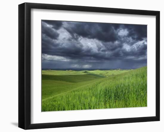 Storm Clouds over Agricultural Wheat Field, Tuscany, Italy-Adam Jones-Framed Photographic Print