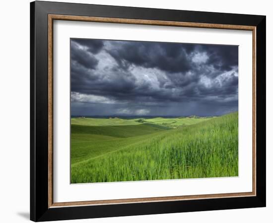 Storm Clouds over Agricultural Wheat Field, Tuscany, Italy-Adam Jones-Framed Photographic Print