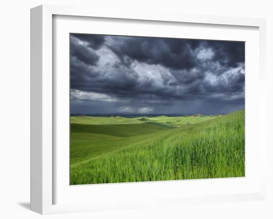 Storm Clouds over Agricultural Wheat Field, Tuscany, Italy-Adam Jones-Framed Photographic Print