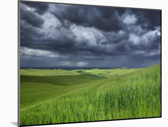 Storm Clouds over Agricultural Wheat Field, Tuscany, Italy-Adam Jones-Mounted Photographic Print