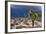 Storm Clouds over Joshua Trees-Paul Souders-Framed Photographic Print