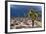 Storm Clouds over Joshua Trees-Paul Souders-Framed Photographic Print