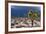 Storm Clouds over Joshua Trees-Paul Souders-Framed Photographic Print