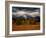 Storm Clouds Over Mountains and Trees, Grand Teton National Park, USA-Carol Polich-Framed Photographic Print