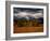 Storm Clouds Over Mountains and Trees, Grand Teton National Park, USA-Carol Polich-Framed Photographic Print