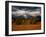 Storm Clouds Over Mountains and Trees, Grand Teton National Park, USA-Carol Polich-Framed Photographic Print