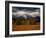 Storm Clouds Over Mountains and Trees, Grand Teton National Park, USA-Carol Polich-Framed Photographic Print