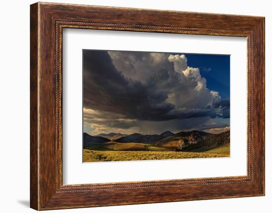 Storm clouds rolling in at sunset, White Mountains, Inyo National Forest, California-Adam Jones-Framed Photographic Print