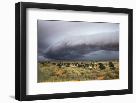 Storm Clouds Threaten the Kalahari, Kgalagadi Transfrontier Park in Summer, Northern Cape-Ann and Steve Toon-Framed Photographic Print