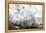 Storm Clouds-John Gusky-Framed Premier Image Canvas