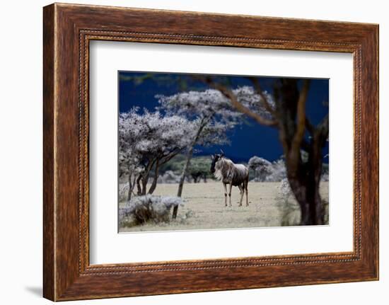 Storm Coming, 2018-Eric Meyer-Framed Photographic Print