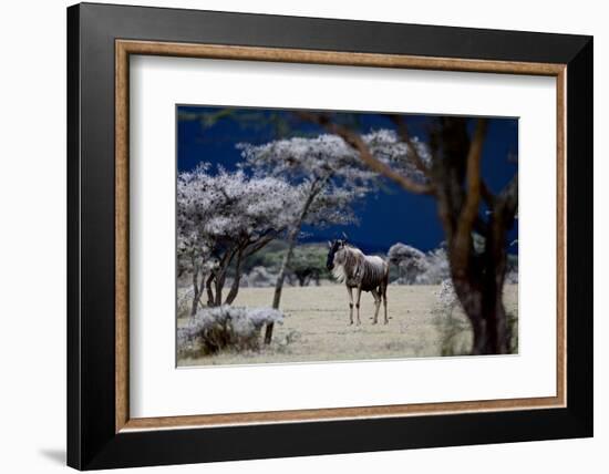 Storm Coming, 2018-Eric Meyer-Framed Photographic Print