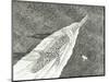 Storm Creators Cape Canaveral, 2022, (Ink and Pencil on Paper)-Vincent Alexander Booth-Mounted Giclee Print