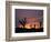 Storm Damaged Trees Silhouetted against the Setting Sun, Greensburg, Kansas, c.2007-Charlie Riedel-Framed Photographic Print