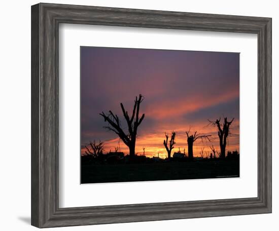 Storm Damaged Trees Silhouetted against the Setting Sun, Greensburg, Kansas, c.2007-Charlie Riedel-Framed Photographic Print