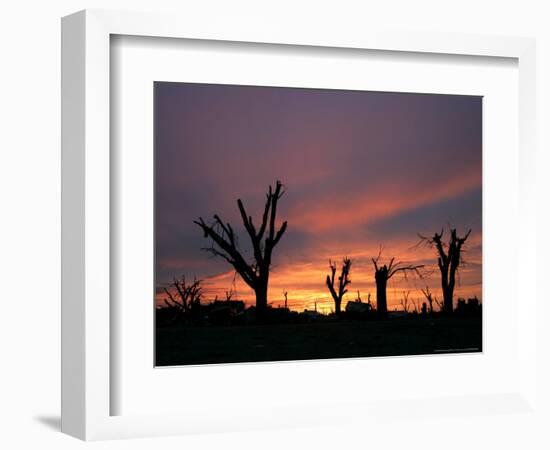 Storm Damaged Trees Silhouetted against the Setting Sun, Greensburg, Kansas, c.2007-Charlie Riedel-Framed Photographic Print