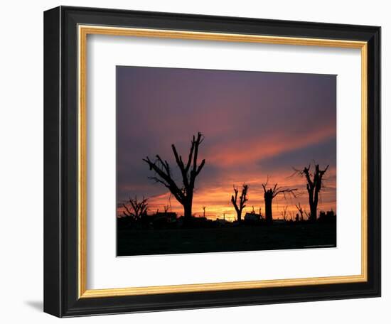 Storm Damaged Trees Silhouetted against the Setting Sun, Greensburg, Kansas, c.2007-Charlie Riedel-Framed Photographic Print