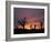 Storm Damaged Trees Silhouetted against the Setting Sun, Greensburg, Kansas, c.2007-Charlie Riedel-Framed Photographic Print