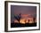 Storm Damaged Trees Silhouetted against the Setting Sun, Greensburg, Kansas, c.2007-Charlie Riedel-Framed Photographic Print