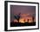 Storm Damaged Trees Silhouetted against the Setting Sun, Greensburg, Kansas, c.2007-Charlie Riedel-Framed Photographic Print