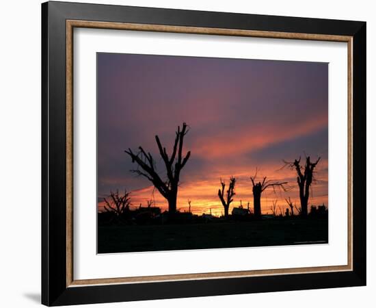 Storm Damaged Trees Silhouetted against the Setting Sun, Greensburg, Kansas, c.2007-Charlie Riedel-Framed Photographic Print