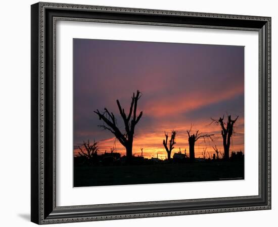 Storm Damaged Trees Silhouetted against the Setting Sun, Greensburg, Kansas, c.2007-Charlie Riedel-Framed Photographic Print