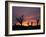 Storm Damaged Trees Silhouetted against the Setting Sun, Greensburg, Kansas, c.2007-Charlie Riedel-Framed Photographic Print