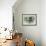 Storm Elephant-Jeremy Paul-Framed Giclee Print displayed on a wall