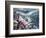 Storm in San Francisco Bay-Michael Delman-Framed Photographic Print