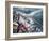 Storm in San Francisco Bay-Michael Delman-Framed Photographic Print