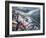 Storm in San Francisco Bay-Michael Delman-Framed Photographic Print