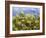 Storm over Summer Garden-Allan Friedlander-Framed Art Print