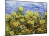 Storm over Summer Garden-Allan Friedlander-Mounted Art Print