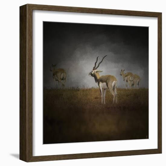 Storm Spotters-Jai Johnson-Framed Giclee Print