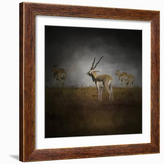 Storm Spotters-Jai Johnson-Framed Giclee Print