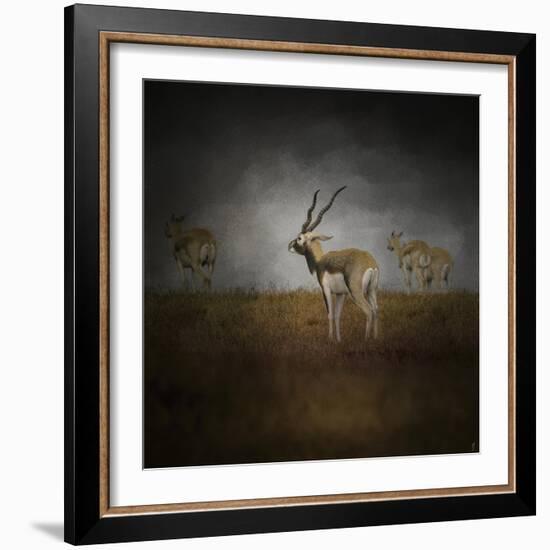 Storm Spotters-Jai Johnson-Framed Giclee Print