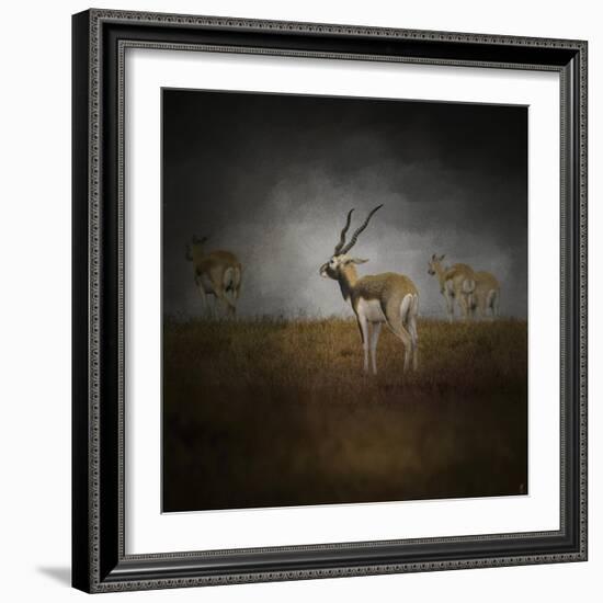 Storm Spotters-Jai Johnson-Framed Giclee Print